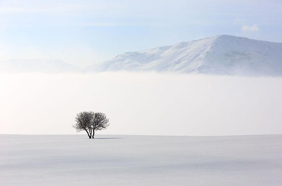 知识产权如何保护？最高法大法官们划重点了